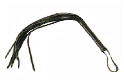 Leather Whip